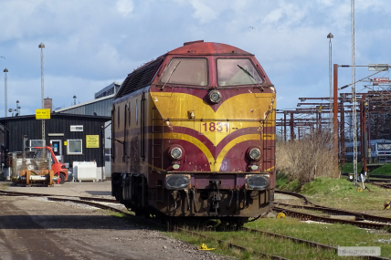 20210410-CFL-1831_2021.04.10_Padborg-1