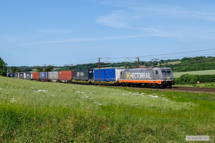 20250621-HECTR-241.010_2025.06.21_Gudso-10